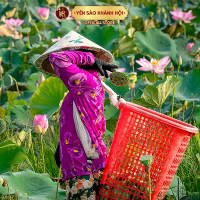 Tim Sen Khô (Tâm Sen), Loại To Đẹp Thượng Hạng. Giúp Thanh Nhiệt, Ngủ Ngon, Dùng Pha Trà, Nước Thảo Mộc.