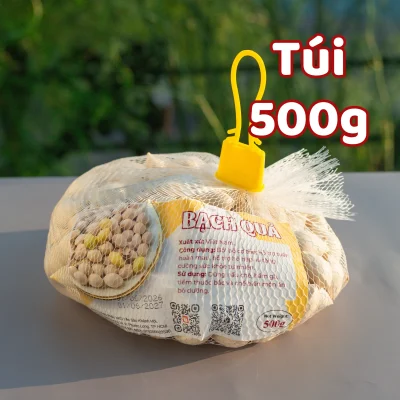 Bạch Quả Tươi Loại 1 [Dùng Ngay], Hàng Mới, To, Sạch. Dùng Nấu Chè, Chưng Yến, Hầm Gà.